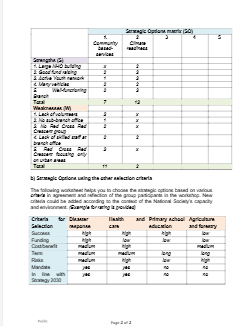 C4_T03_Strategic Options decision sheet